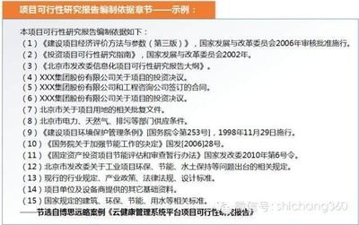 博思遠略 可行性研究報告（甲級資質）的類型與標準范文示例